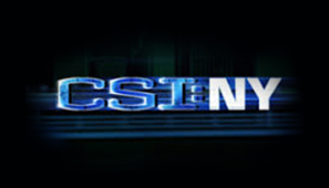 CSI : NY logo